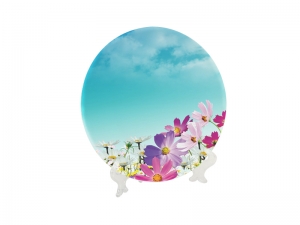 10&#039;&#039; Glass Plate