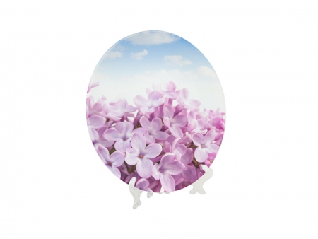 7.5&#039;&#039; Glass Plate