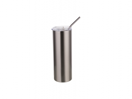 20oz/600ml Stainless Steel Skinny Tumbler with Straw &amp; Lid (Silver)