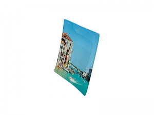 8&quot; Glass Plate
