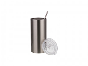16oz/480ml Stainless Steel Skinny Tumbler with Straw &amp; Lid (Silver)