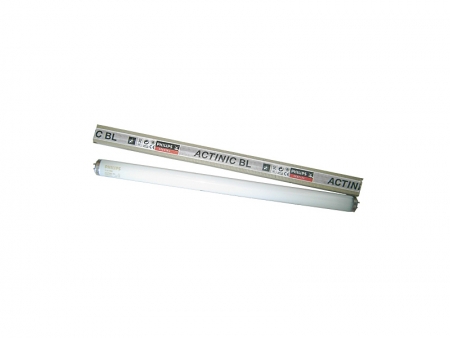 UV Lamp